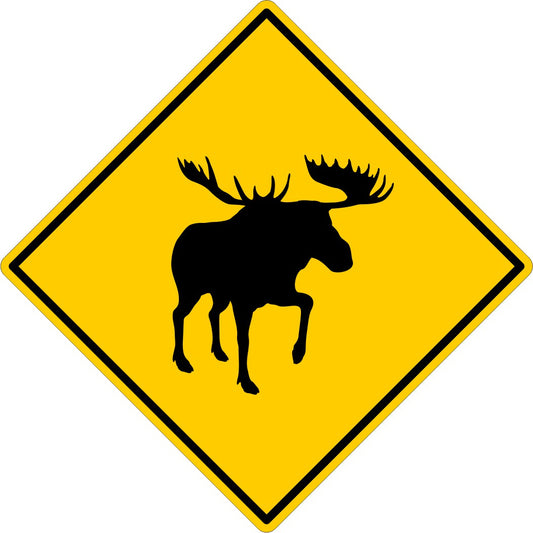 Moose Crossing